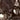 Chocolate Swatch