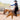 Style Report: Fashion in the Reining Pen