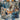 Blue Melodies Wild Rag