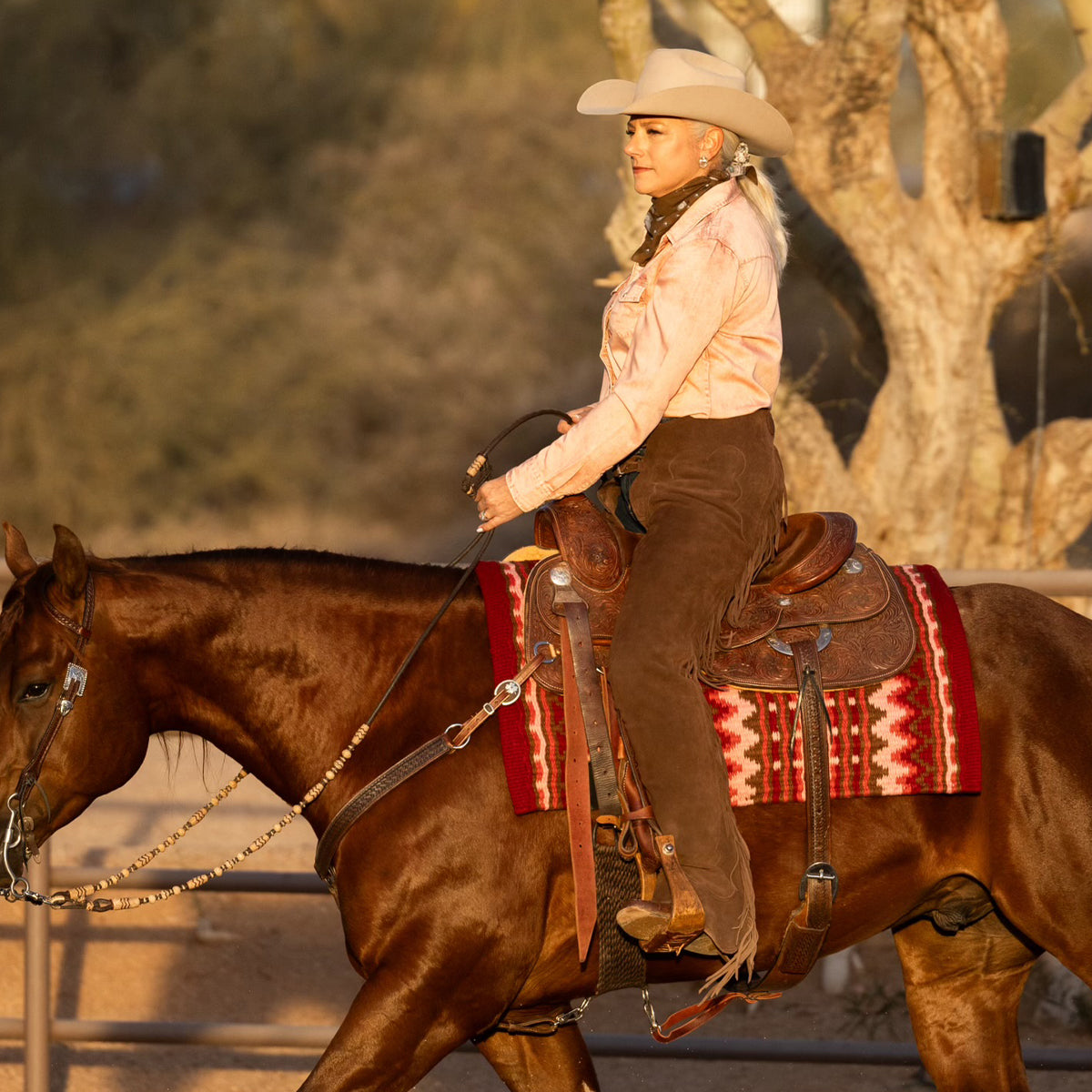 Western Wear Ladies Western Show Pants Western Riding Pants Womens