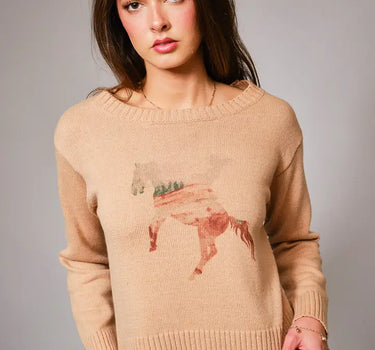 Cowgirl Horse Abstract Sweater