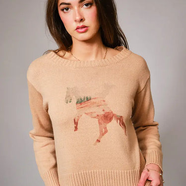 Cowgirl Horse Abstract Sweater