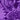 Purple Swatch