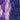 Purple Swatch