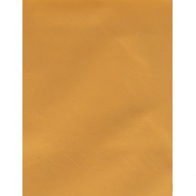 Palomino